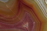 Colorful, Polished Condor Agate - Argentina #277693-1